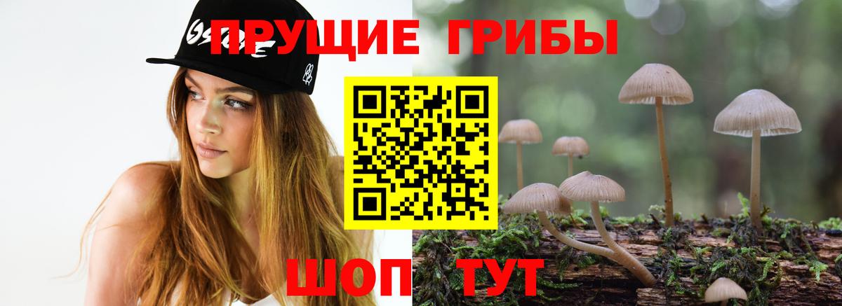 Галлюциногенные грибы ЛСД  Вход с VPN  Карпинск  Псилоцибиновые грибы ЛСД 